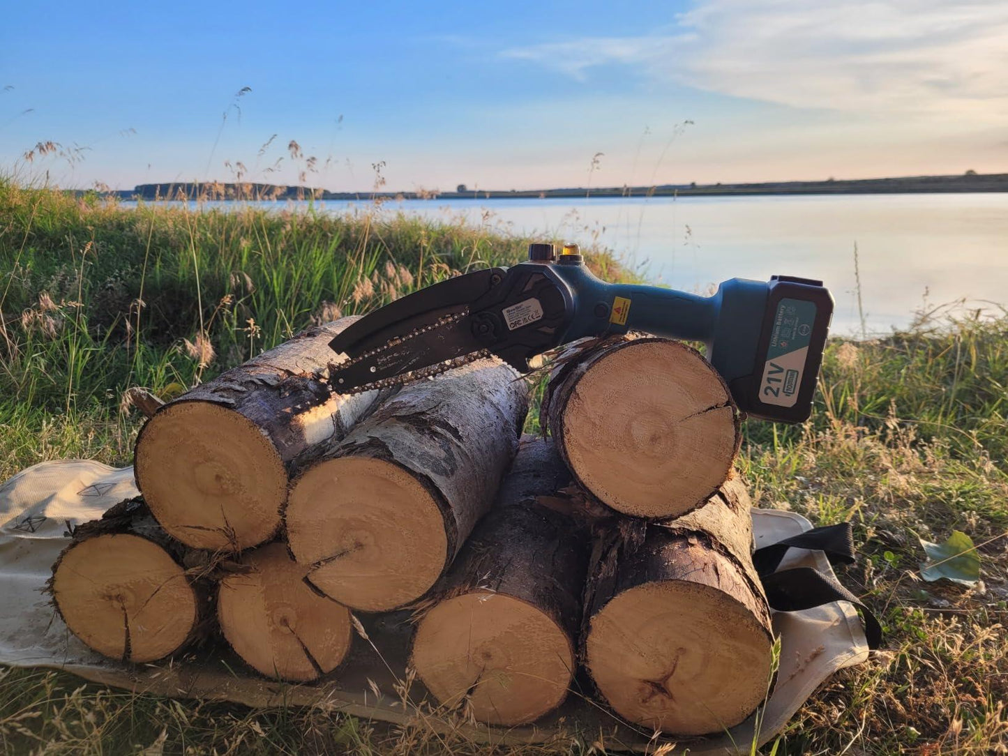 Mini Chainsaw for Pruning – 50% Off