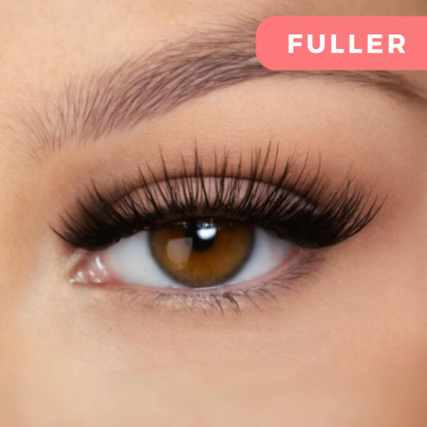 Premium Magnetische Wimpern – 50 % Rabatt